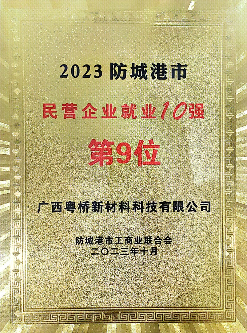 2023防城港民企就业10强第9位